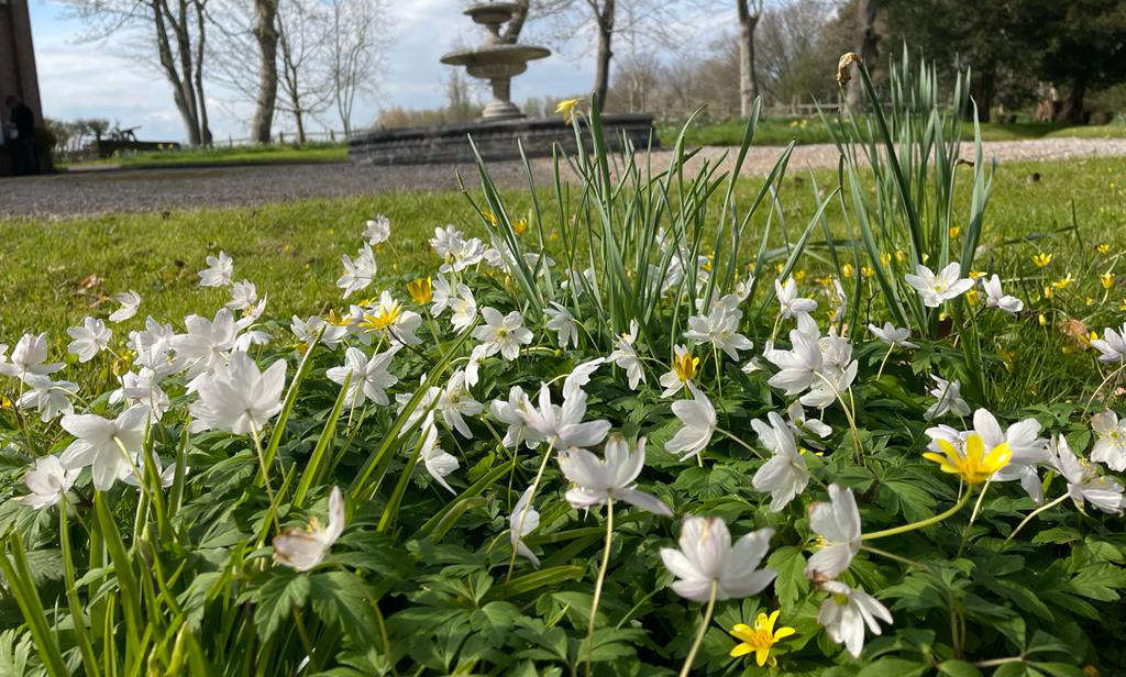 Slimmeria spring