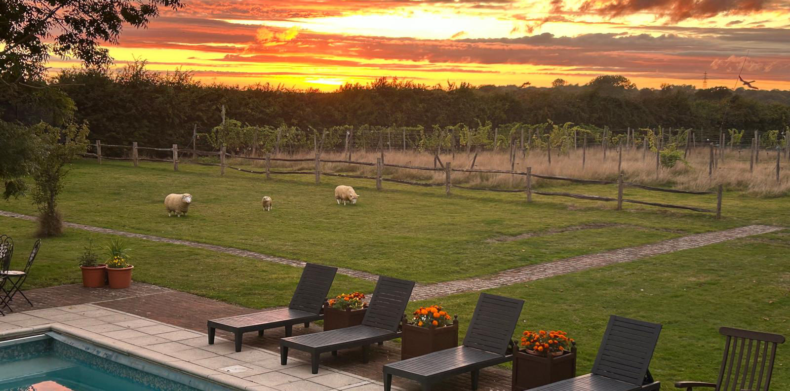 Slimmeria Indian Summer